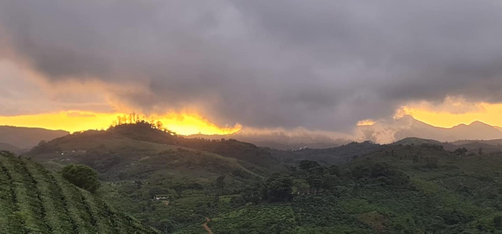 Vaga Mist Resort Vagamon Idukki Exterior foto
